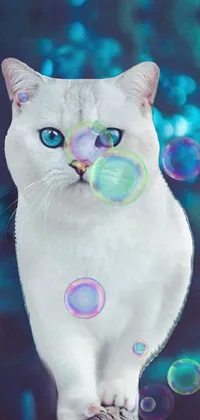 Get mesmerized by this stunning live wallpaper featuring a white cat with piercing blue eyes sitting on a branch