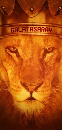 This mesmerizing live phone wallpaper showcases a regal lion wearing a crown, exuding strength and power