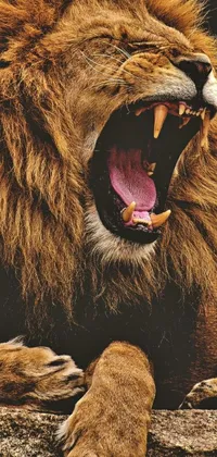 This live wallpaper for your phone features a close-up image of a powerful lion with its mouth open and claws exposed