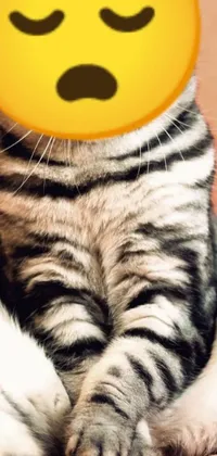 The live wallpaper showcases a cartoonish cat wearing a broad yellow smiley face on its head