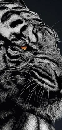 This phone live wallpaper features a close-up view of a white tiger's face on a black background, showcasing intricate digital artwork with photorealistic painting