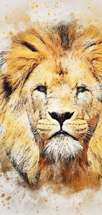 Dress up your phone with a stunning close-up wallpaper of a lion's face