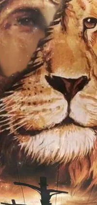 Carnivore Mammal Felidae Live Wallpaper