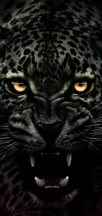 Looking for an intense phone background? Look no further than this dynamic live wallpaper featuring a stunning close-up of a leopard's face