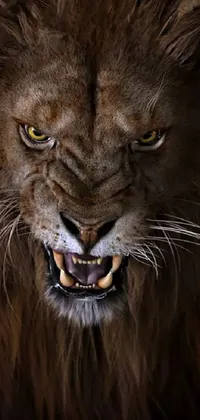 This stunning live wallpaper for your phone features a close-up of an angry lion with its mouth open wide, showcasing its fierce expression