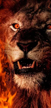This phone live wallpaper features a stunning 4K UHD image of a lion's face surrounded by fiery flames