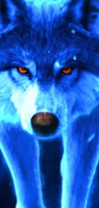 This phone live wallpaper showcases a captivating digital art of a fierce blue-grey wolf with glowing eyes against a stern blue neon atmosphere