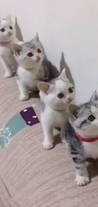 This <a href="/">phone live wallpaper</a> features an animated scene of a group of adorable kittens sitting on top of a couch