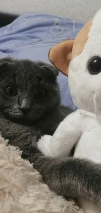This phone live wallpaper showcases a Scottish Fold cat next to a stuffed animal on a bed