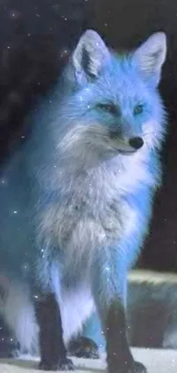 Blue Fox Live Wallpaper