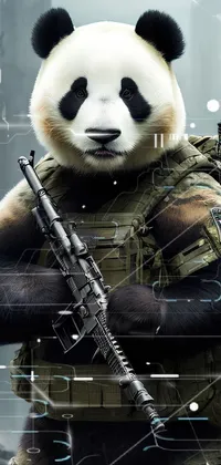 Carnivore Panda Terrestrial Animal Live Wallpaper