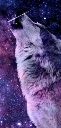 This phone live wallpaper depicts a mystical wolf gazing upward at a stunning star-filled sky