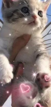 This phone live wallpaper features a stunning close-up of a cat being held by an angelic being with white wings and hooves