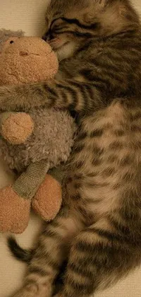 This delightful live wallpaper for your phone features an adorable cat sleeping peacefully next to a stuffed animal and photo