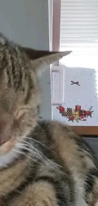 This phone live wallpaper features an adorable feline resting on a cozy bed
