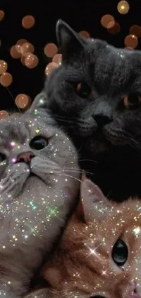 This live wallpaper features an adorable image of two cats snuggled together on a tumblr background, surrounded by shimmery glitter crystals