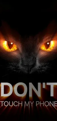 Looking for a cool live wallpaper for your phone? Check out this design featuring a mesmerizing close-up of a cat&#39;s eyes, surrounded by fiery red hues and the bold words &quot;Don&#39;t touch my phone&quot;
