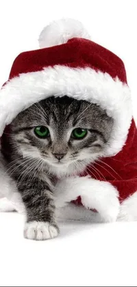 This mobile wallpaper features a cute gray and white cat, donning a Santa hat and dressed in a vibrant red cloak