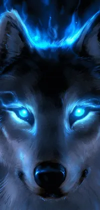 Get lost in this stunning phone live wallpaper of a wolf in blue flames