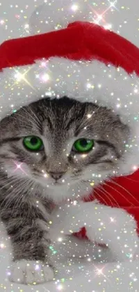 This mobile live wallpaper depicts a lovely portrait of a cat donning a Santa hat