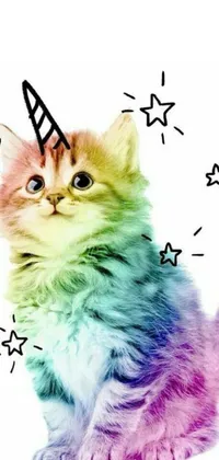 Looking for a playful and whimsical phone wallpaper? Check out this adorable live wallpaper featuring a cute cat wearing a colorful party hat