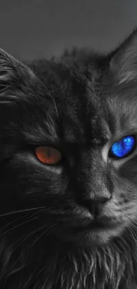 This phone live wallpaper features a stunning digital rendering of a majestic cat with hypnotic blue eyes and fiery red irises
