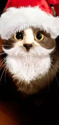 This phone live wallpaper showcases a digital painting of a cute cat dressed in a Santa hat
