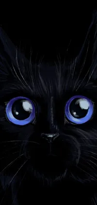This live wallpaper features a striking close-up of a black cat with bright blue eyes against a nocturnal background