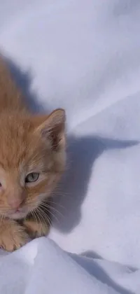 This lively live wallpaper for your phone features an adorable orange kitten lounging on a white sheet against a snowy background