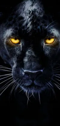 This live phone wallpaper showcases a striking digital art depicting a black leopard with intense yellow eyes set against a dark background