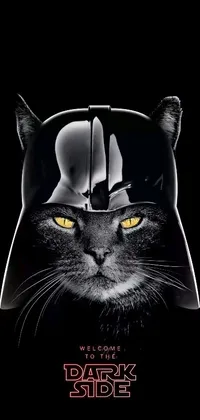 This phone live wallpaper showcases a striking black and white photograph of a cat sporting a Darth Vader helmet