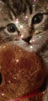 This live wallpaper depicts a kitschy and trendy scene featuring a cute kitten lounging on a fluffy teddy bear accompanied by a touch of sparkle and glitter