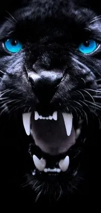 Elevate your phone's style with this stunning live wallpaper of a black panther, featuring blue eyes and vicious fangs