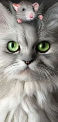 This phone background features a photorealistic painting of a Persian cat with a mouse on its head