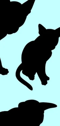 This phone live wallpaper features black silhouettes of three cats against a blue background with a tiny cat riding atop a Labrador
