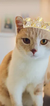 This stunning phone live wallpaper features a regal cat wearing a gold tiara, sitting on a wooden table