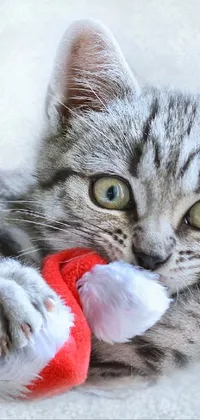 This phone live wallpaper features a realistic image of a playful kitten wearing a Santa hat and playing with a toy on the floor