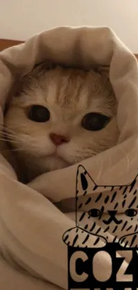 This mobile live wallpaper depicts a cute tabby cat wrapped up in a cozy blanket, resting on a bed in a warm and inviting bedroom