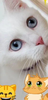 Looking for a new phone wallpaper? Check out this close-up live wallpaper of a white cat with dreamy blue eyes