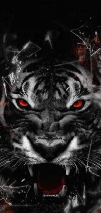 Looking for a bold and powerful wallpaper for your mobile phone? Check out this stunning black and white tiger with red eyes phone live wallpaper, featuring a striking digital art design that is sure to catch your eye