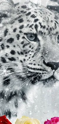 Get your phone roaring with the Snow Leopard Live Wallpaper! A stunning black and white photo of a snow leopard decorates your device with elegance and photorealism