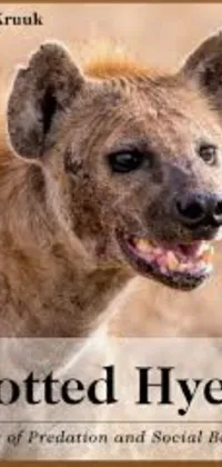 This phone live wallpaper boasts a vivid close-up of a hyena in a vast green field, perfect for individuals craving a deeper connection to nature