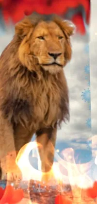 This live wallpaper features a majestic lion sitting on a pile of red hearts