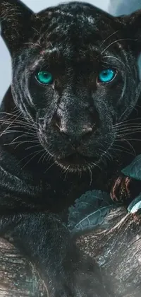 This live wallpaper showcases a stunning photorealistic painting of a black leopard with blue eyes sitting atop a lush green tree branch in a forest