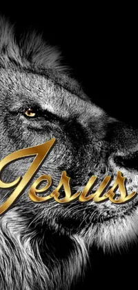 This phone live wallpaper showcases an impressive lion design, adorned with the phrase "Jesus" in bold golden letters