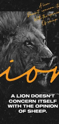 This live wallpaper for phones showcases an original black and white photo of a regal lion