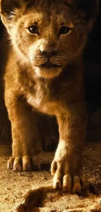 Get ready for a stunningly realistic live wallpaper of a lion cub from the popular Disney movie, The Lion King