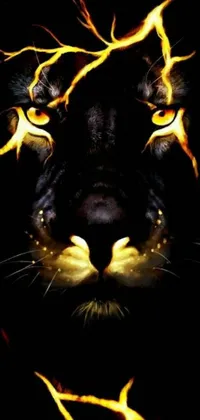 This tiger phone live wallpaper showcases a striking close-up view of a tiger's face against a black background