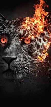 This phone live wallpaper features a digital art close up image of a leopard's face with hair made of fire symbolizing power, passion, and energy