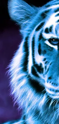 This phone live wallpaper showcases a high-quality close-up of a majestic tiger's face against a deep purple backdrop